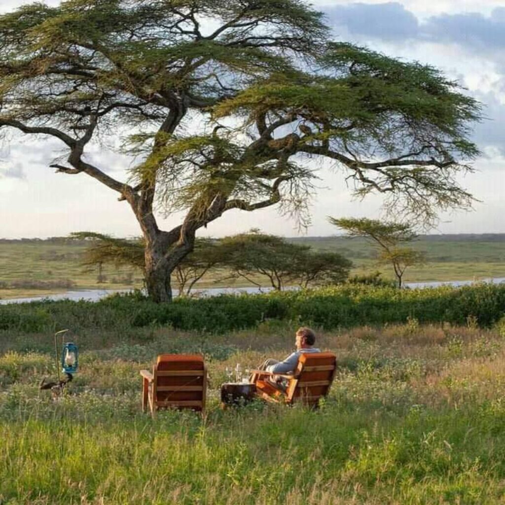 5 Days Tanzania Midrange Safari Golden Trips Tanzania