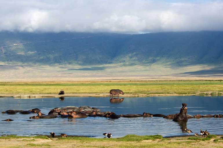 5 Days Tanzania Midrange Safari Packages