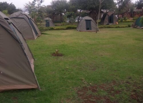 Camping Safari 