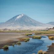 Flamingoes' paradise excursions